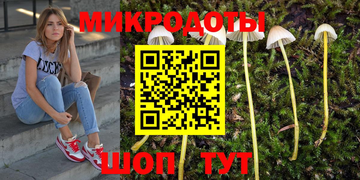 Галлюциногенные грибы прущие грибы Шали